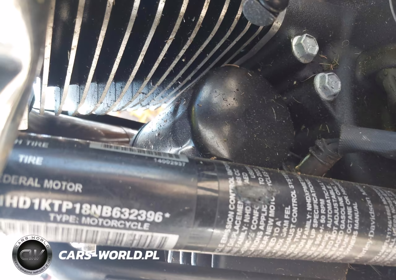2022 Harley-Davidson Fltrxs VIN:1HD1KTP18NB632396 - 10