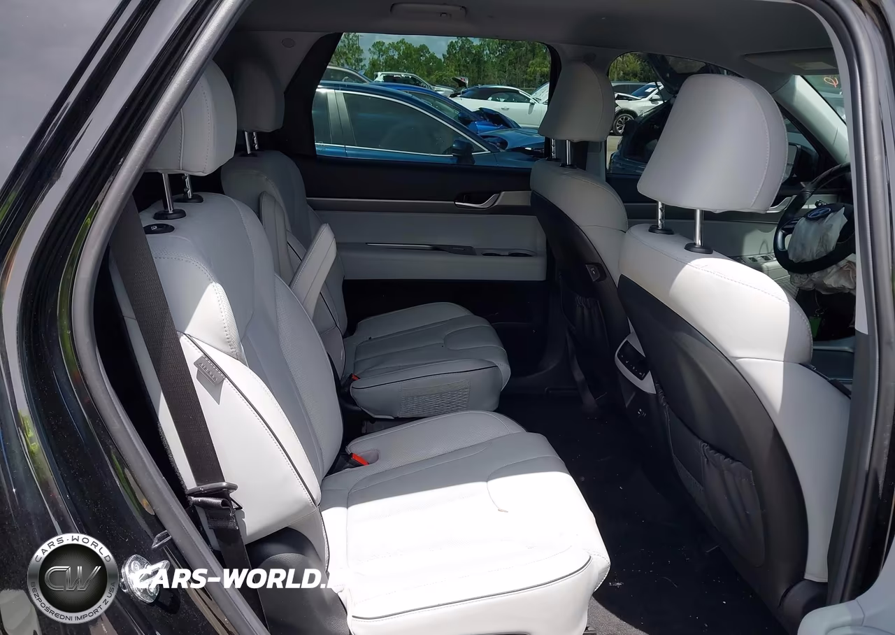 2025 Hyundai Palisade Sel VIN:KM8R24GE7SU896489 - 8