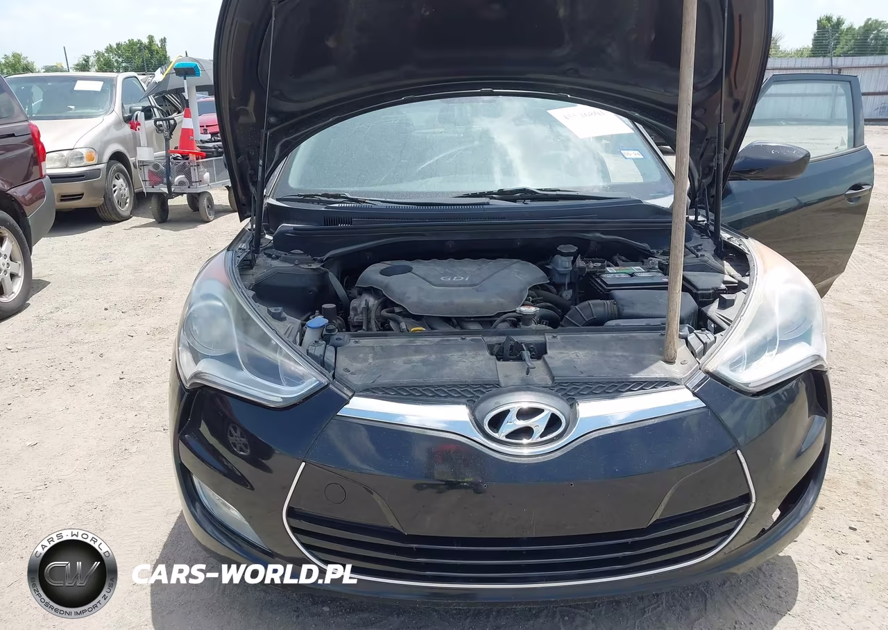 2013 Hyundai Veloster Base W-Black VIN:KMHTC6AD6DU153033 - 10