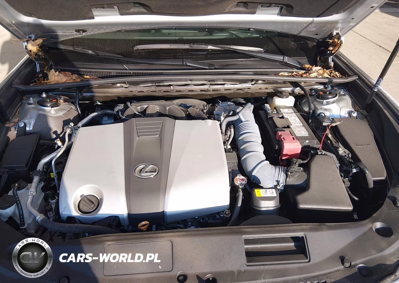 2024 Lexus Es 350 VIN:58ADZ1B1XRU184862 - 10