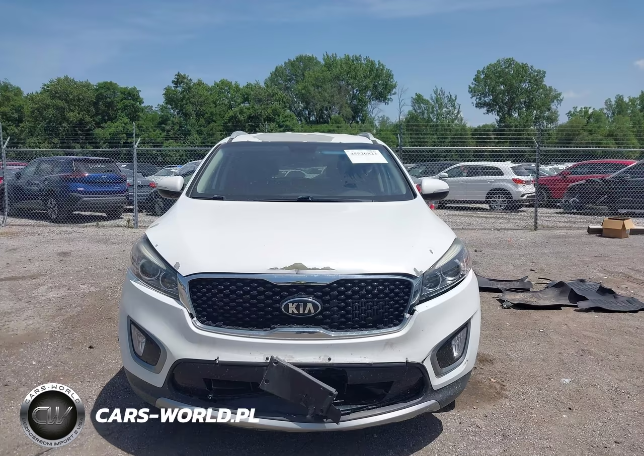 2016 Kia Sorento 2.0T Ex VIN:5XYPH4A10GG013664 - 11