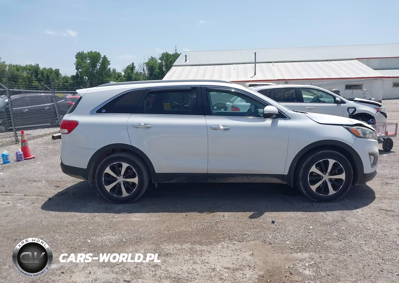 2016 Kia Sorento 2.0T Ex VIN:5XYPH4A10GG013664 - 12