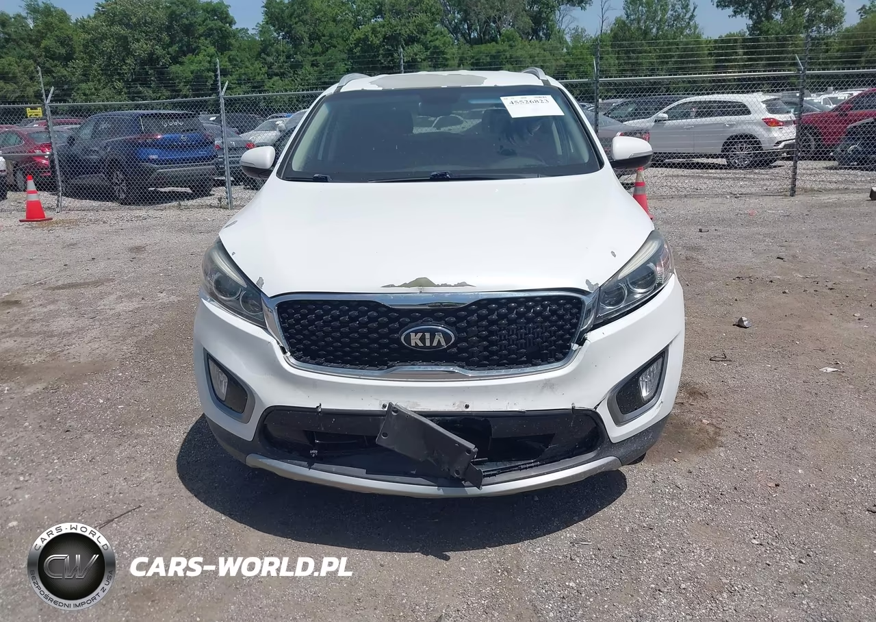 2016 Kia Sorento 2.0T Ex VIN:5XYPH4A10GG013664 - 6