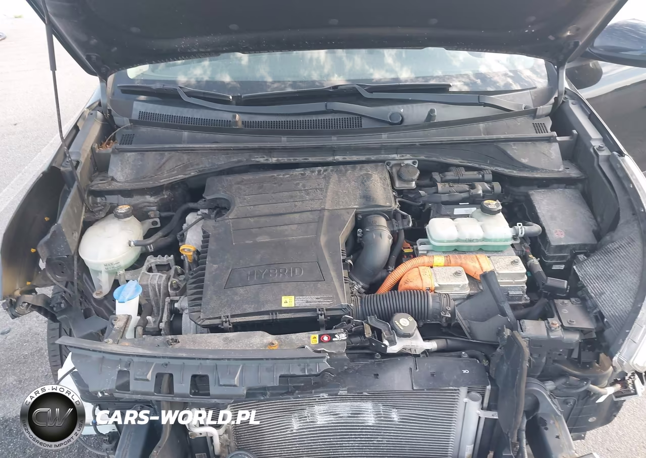 2019 Kia Niro Lx VIN:KNDCB3LC4K5281885 - 10