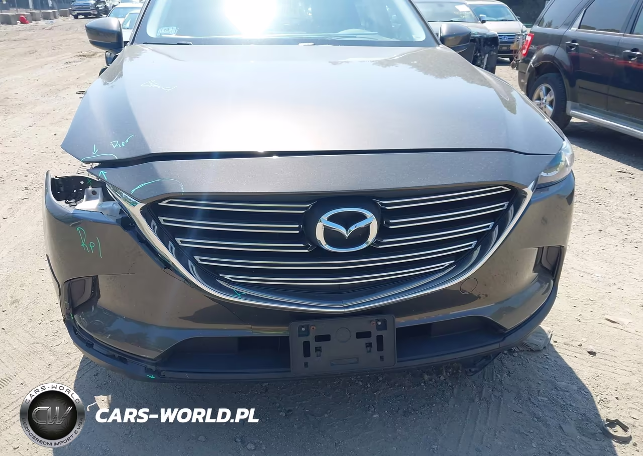 2016 Mazda Cx-9 Touring VIN:JM3TCBCY9G0119586 - 12