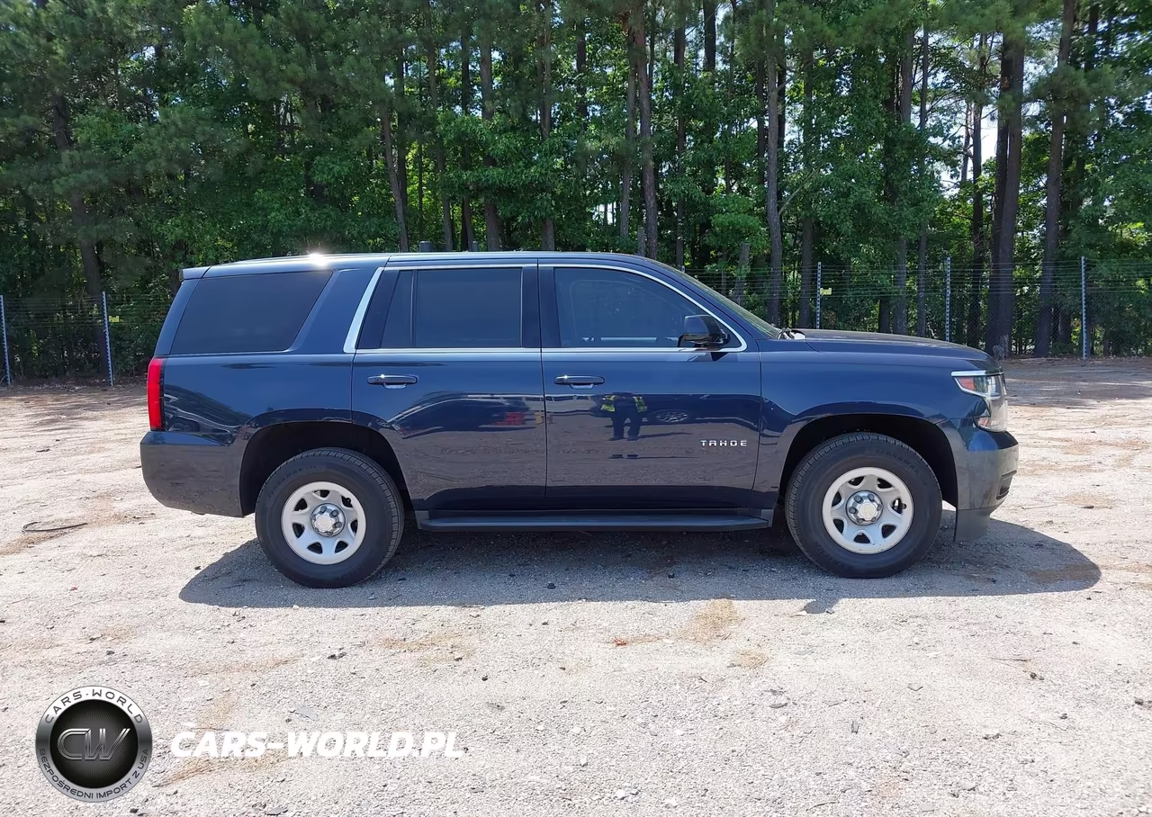 2018 Chevrolet Tahoe Commercial Fleet VIN:1GNSKEEC2JR317642 - 13