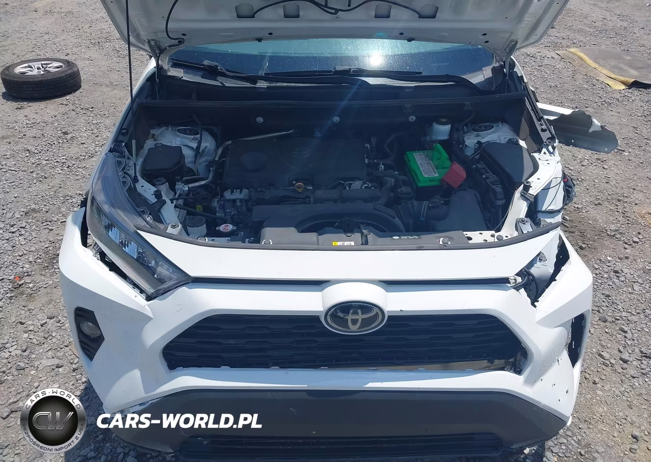 2019 Toyota Rav4 Xle VIN:2T3W1RFV6KC021966 - 10