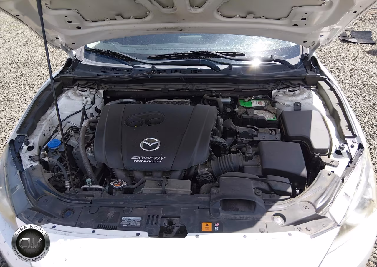 2014 Mazda Mazda3 I Sport VIN:JM1BM1U79E1176458 - 10