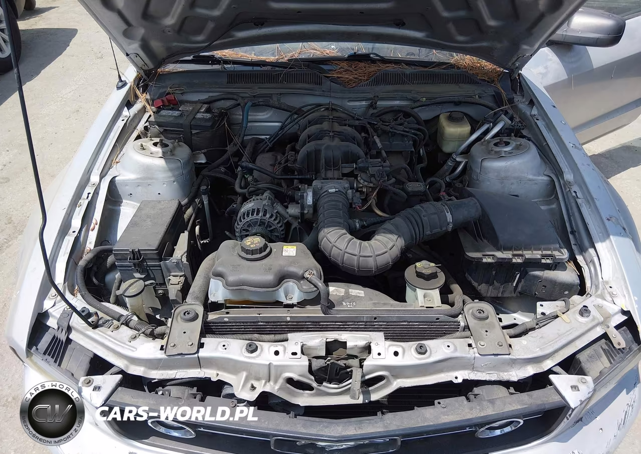 2008 Ford Mustang V6 Deluxe-V6 Premium VIN:1ZVHT80N985121240 - 10