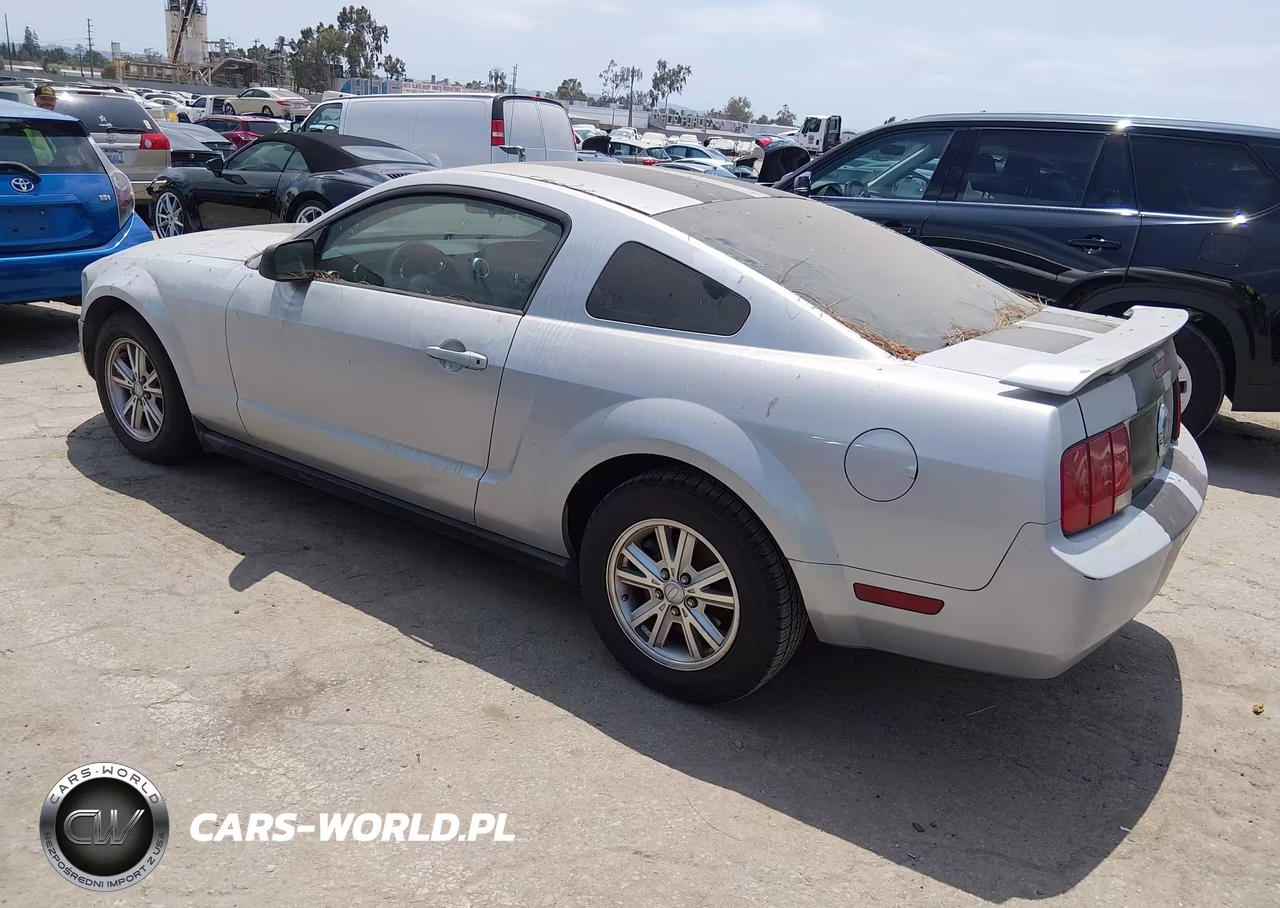 2008 Ford Mustang V6 Deluxe-V6 Premium VIN:1ZVHT80N985121240 - 3