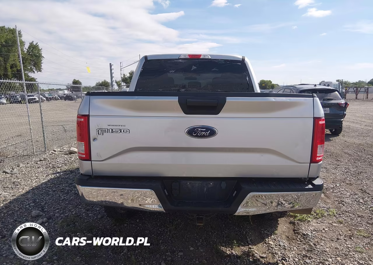 2017 Ford F-150 Xl-Xlt VIN:1FTEW1E88HFC09214 - 16