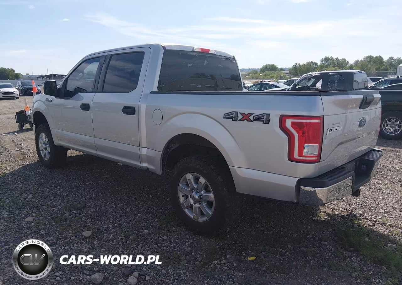 2017 Ford F-150 Xl-Xlt VIN:1FTEW1E88HFC09214 - 3