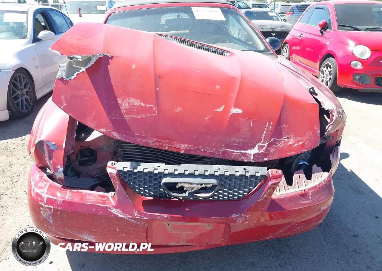 1999 Ford Mustang VIN:1FAFP4449XF219336 - 14
