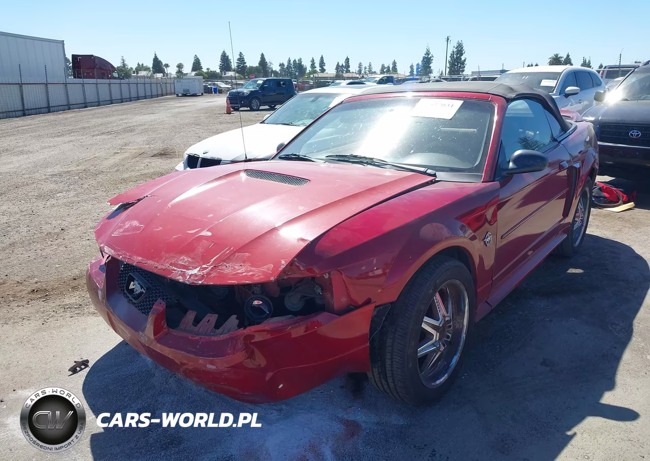 1999 Ford Mustang VIN:1FAFP4449XF219336 - 2