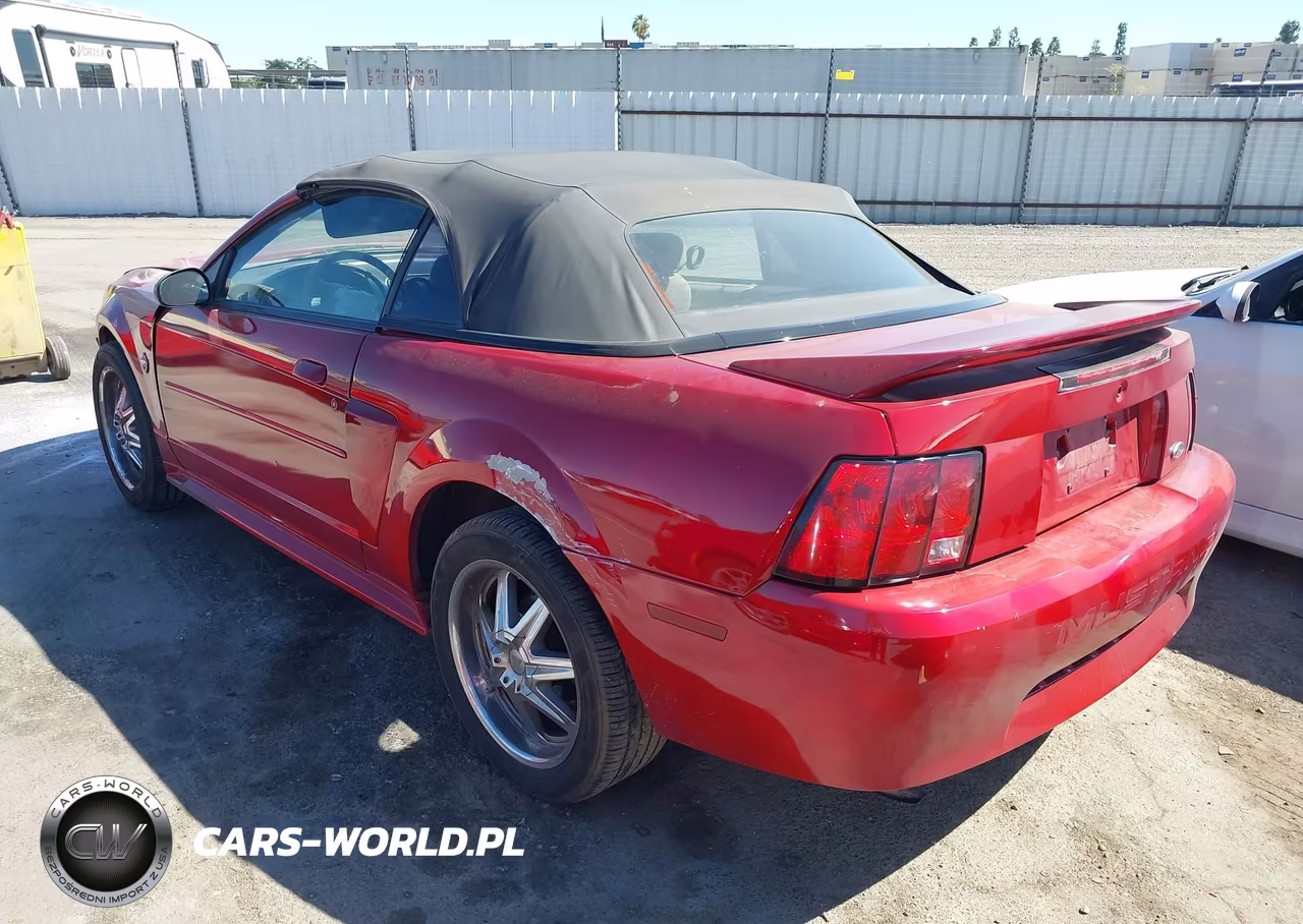 1999 Ford Mustang VIN:1FAFP4449XF219336 - 3