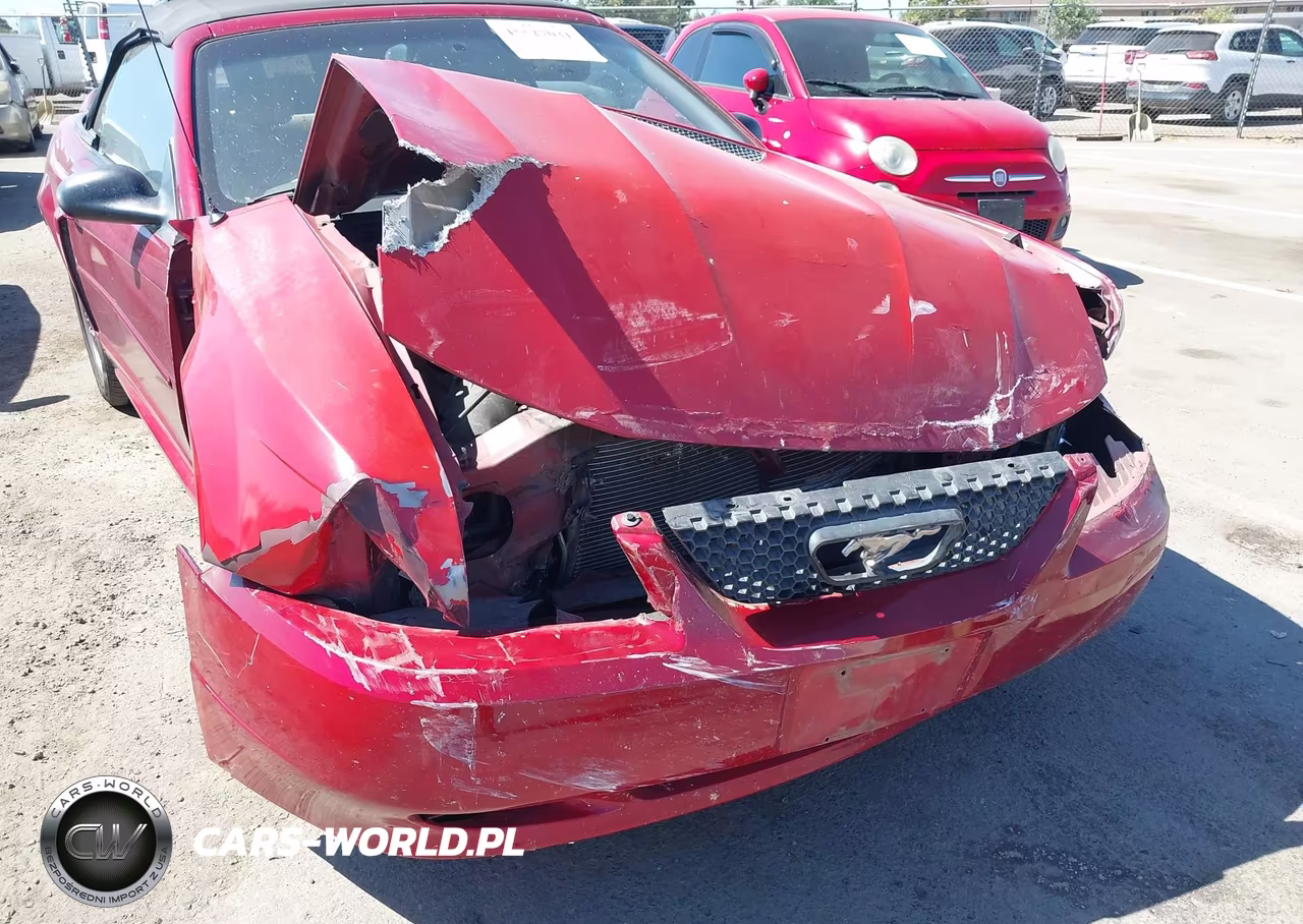 1999 Ford Mustang VIN:1FAFP4449XF219336 - 6