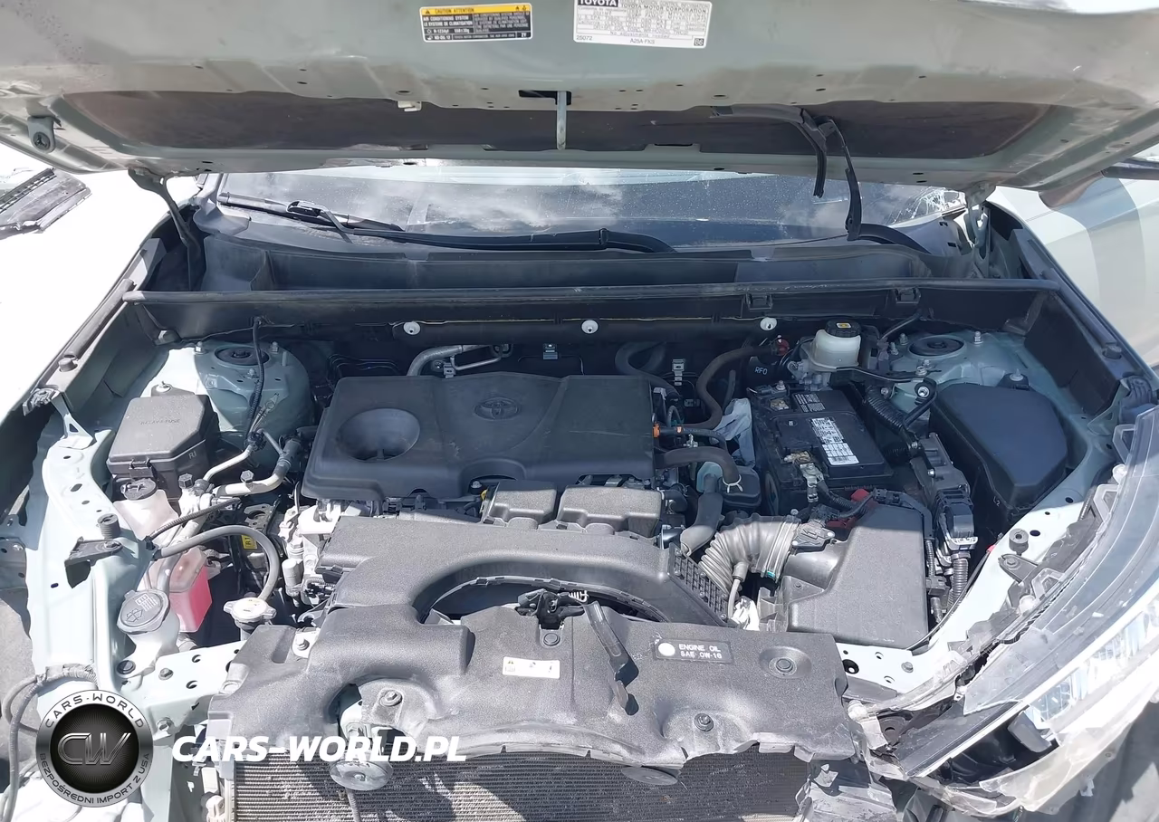 2021 Toyota Rav4 Xle VIN:JTMW1RFV1MD073925 - 10