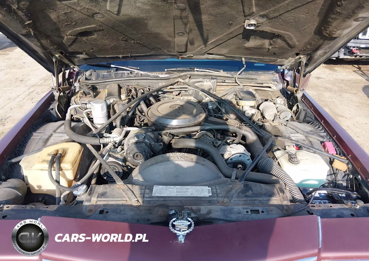 1986 Cadillac Fleetwood VIN:1G6DW69Y6G9739491 - 10