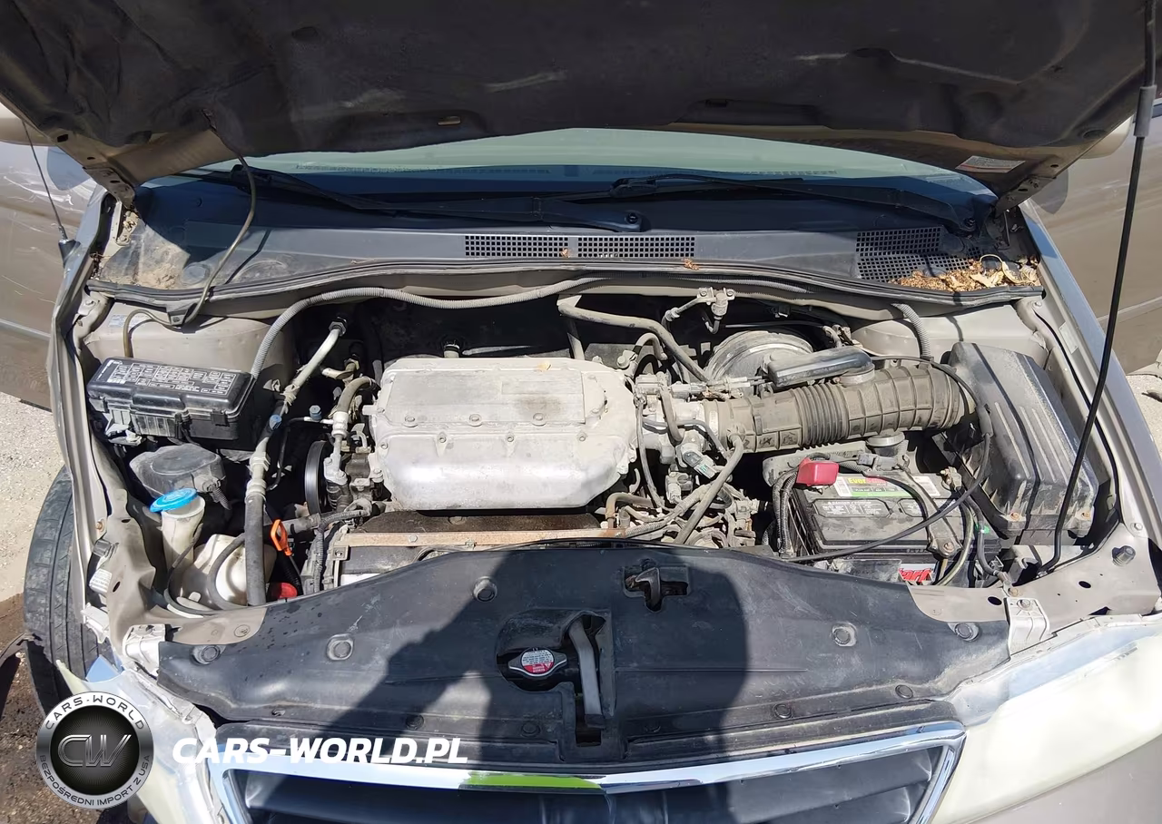 2004 Honda Odyssey Ex VIN:5FNRL18854B088484 - 10