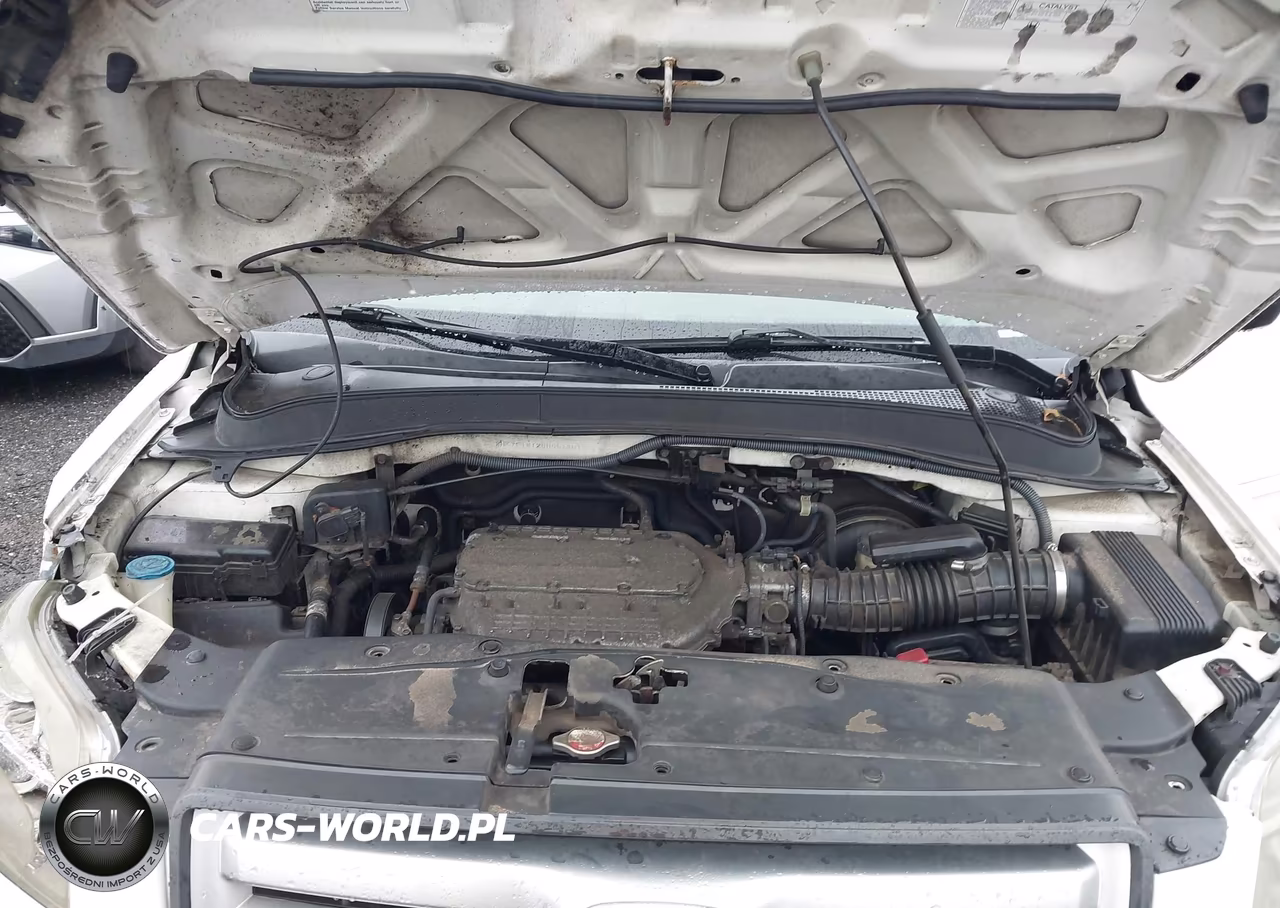 2006 Honda Pilot Lx VIN:2HKYF18126H551451 - 10