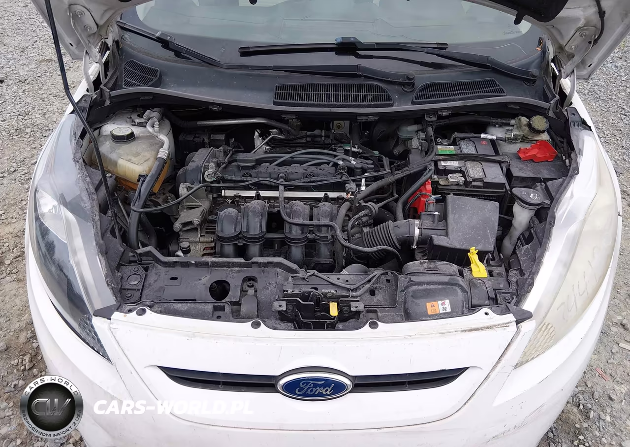 FORD FIESTA VIN:3FADP4FJXCM159765 - 10