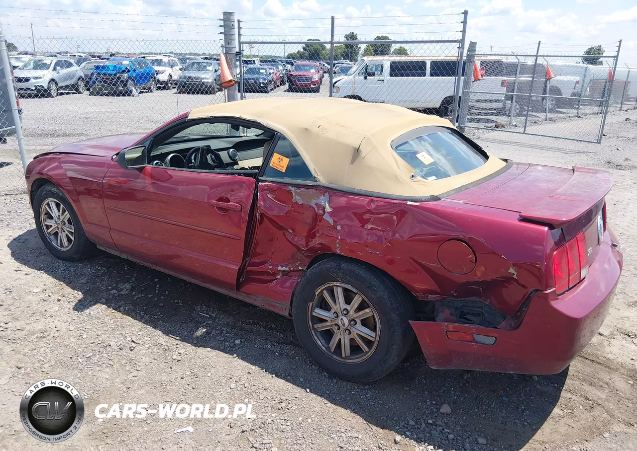 2007 Ford Mustang V6 Deluxe-V6 Premium VIN:1ZVFT84N975262115 - 3