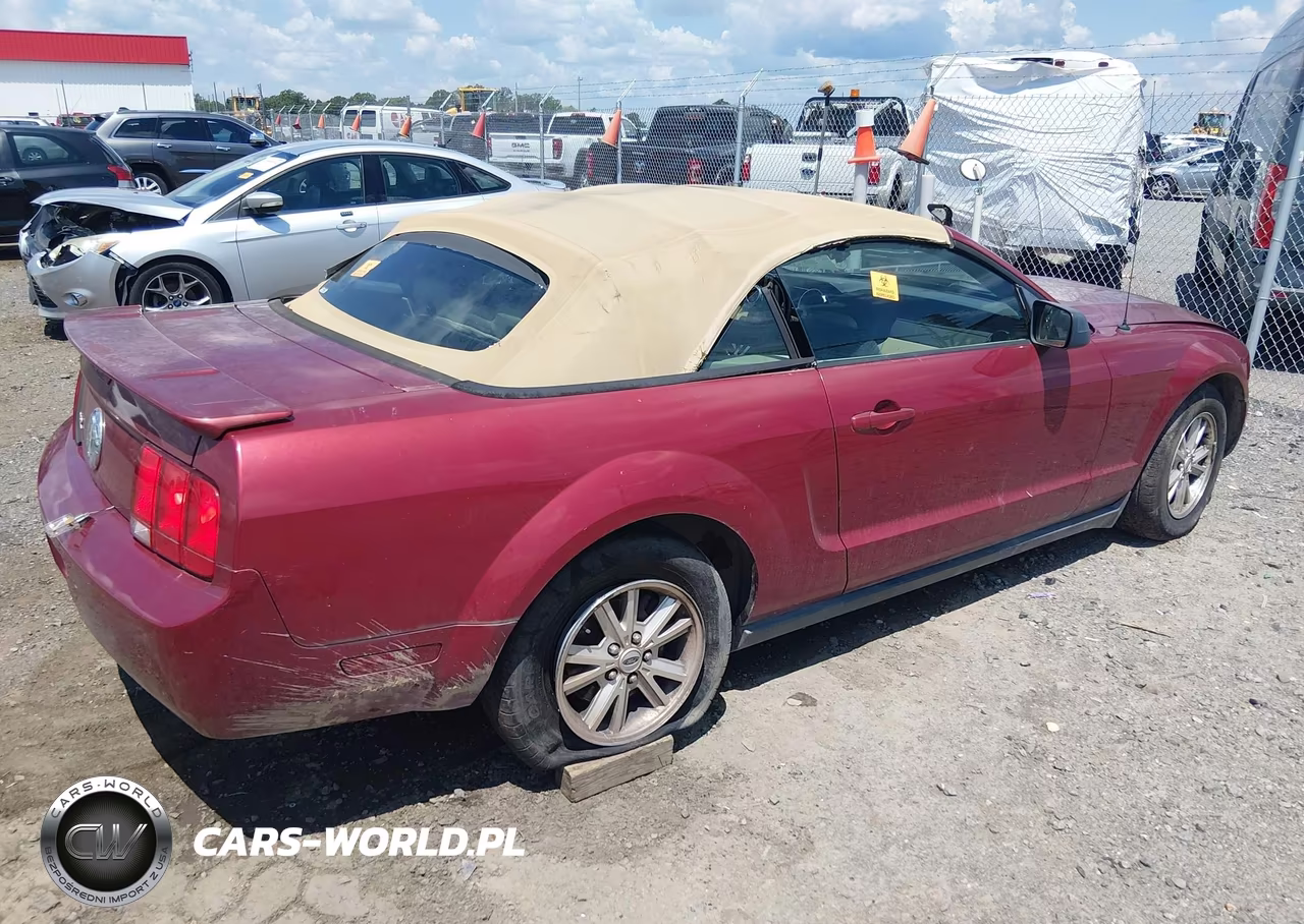 2007 Ford Mustang V6 Deluxe-V6 Premium VIN:1ZVFT84N975262115 - 4