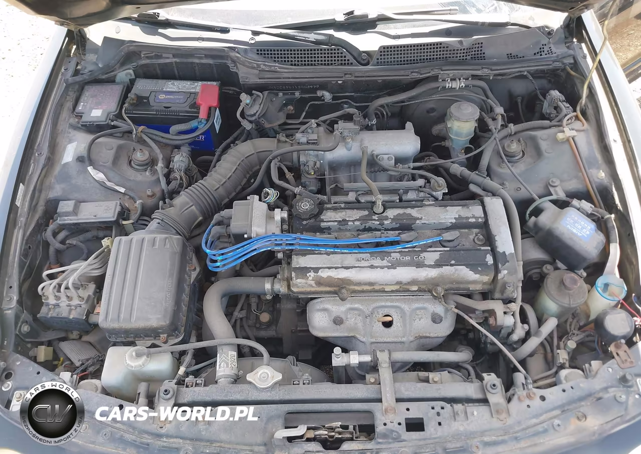 2000 Acura Integra Ls VIN:JH4DC4451YS003977 - 10