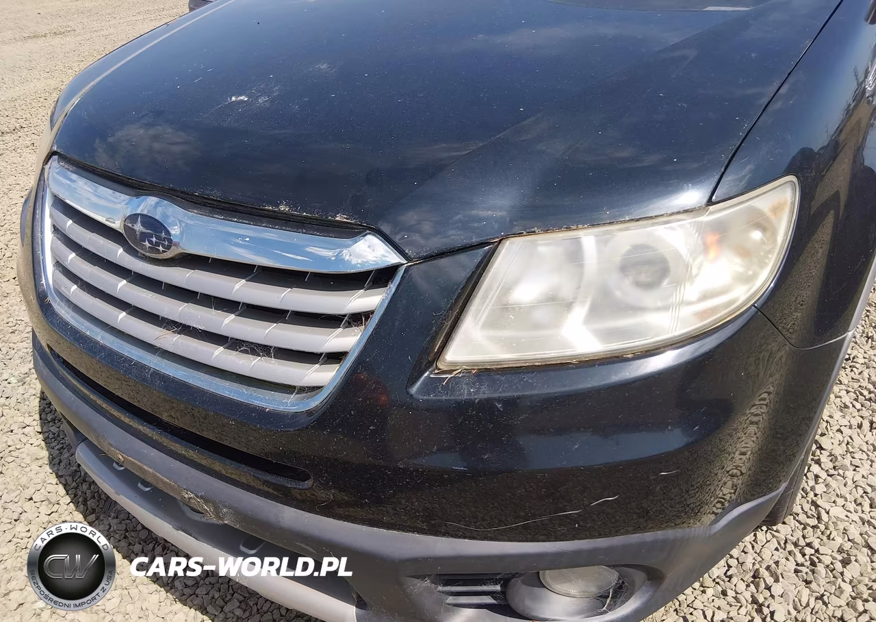 2008 Subaru Tribeca Limited 7-Passenger VIN:4S4WX90D984415511 - 6