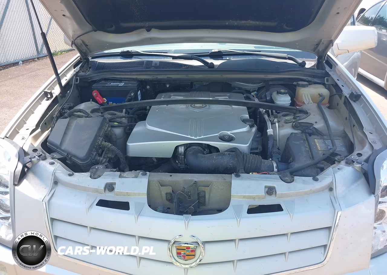 2006 Cadillac Srx V6 VIN:1GYEE637X60131636 - 10