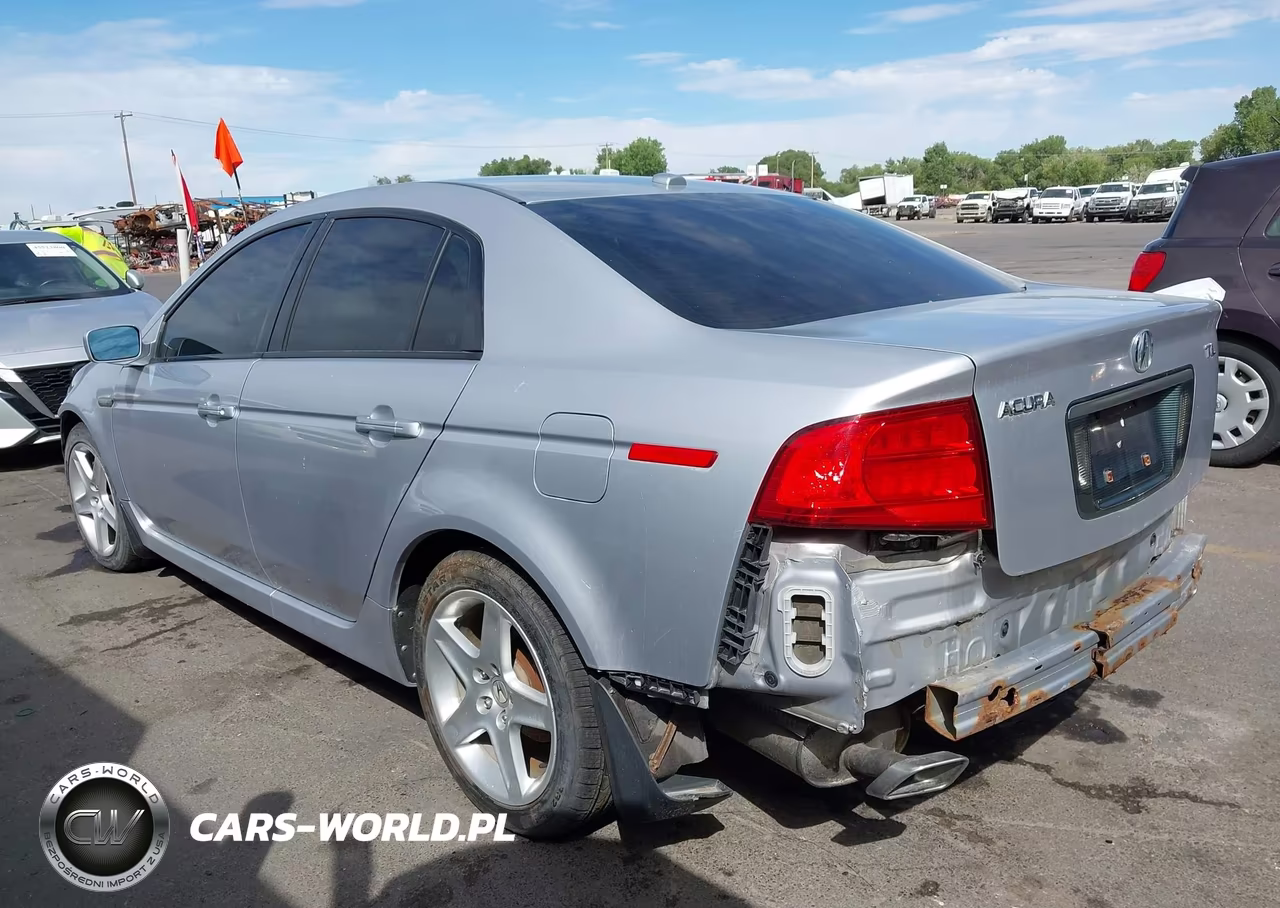 2004 Acura Tl VIN:19UUA65504A064742 - 3