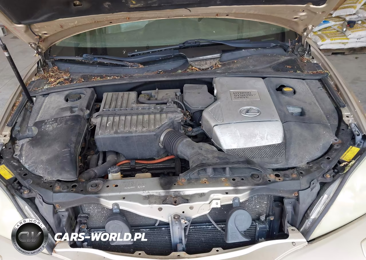 2006 Lexus Rx 400H VIN:JTJHW31U460003882 - 10