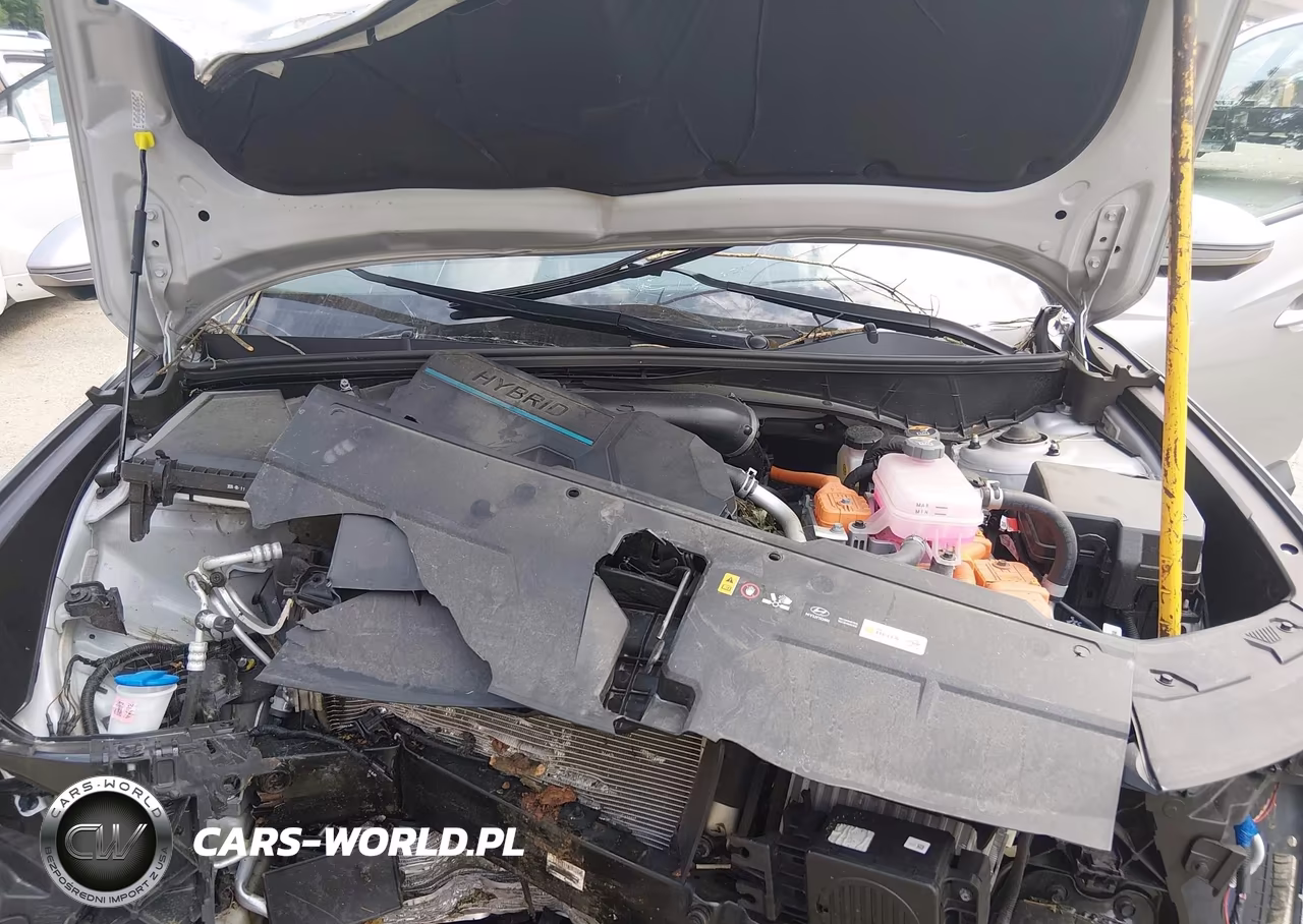2024 Hyundai Tucson Hybrid Limited VIN:KM8JECD13RU218588 - 10