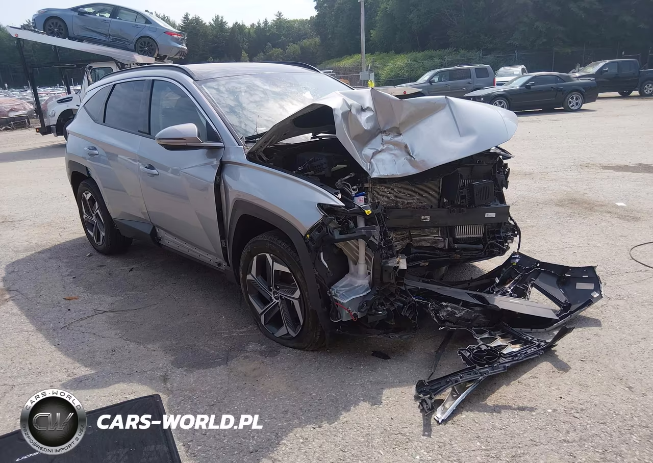 2024 Hyundai Tucson Hybrid Limited VIN:KM8JECD13RU218588 - 6