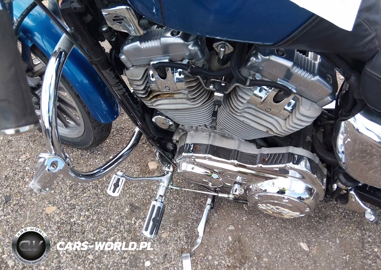 2005 Harley-Davidson Xl883 L VIN:1HD4CMM145K425296 - 9
