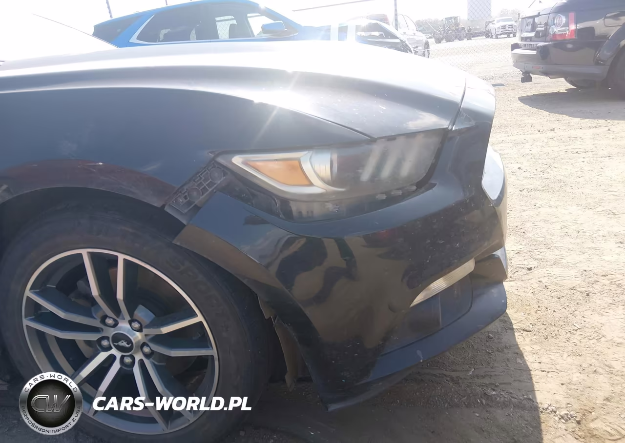 2017 Ford Mustang Ecoboost VIN:1FA6P8TH4H5202916 - 12