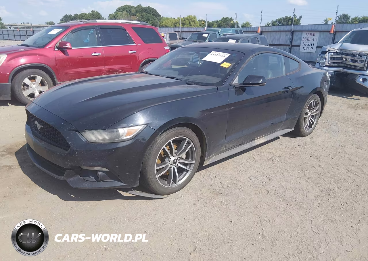 2017 Ford Mustang Ecoboost VIN:1FA6P8TH4H5202916 - 2