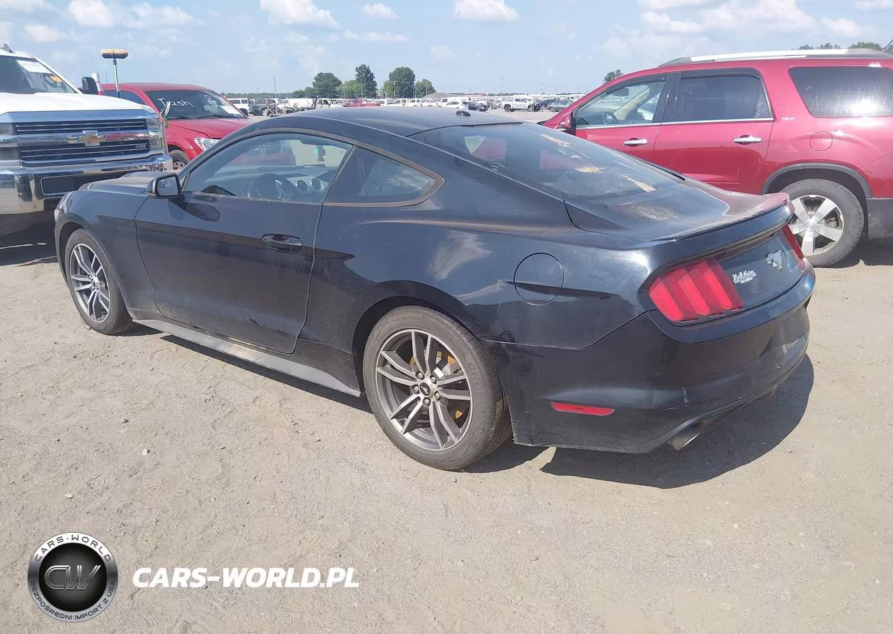 2017 Ford Mustang Ecoboost VIN:1FA6P8TH4H5202916 - 3