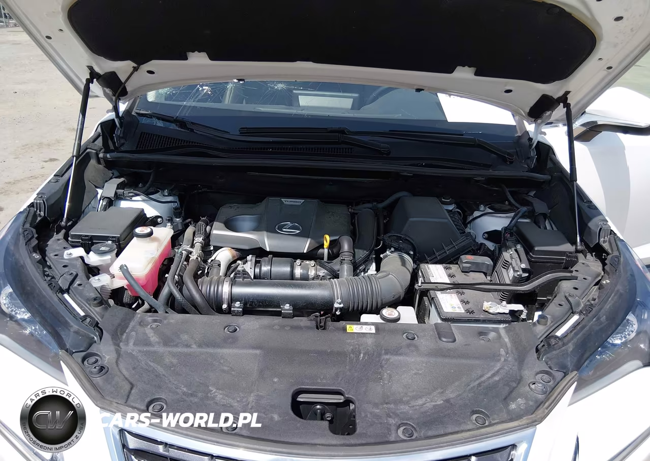 2021 Lexus Nx 300 VIN:JTJGARDZ4M5024235 - 10