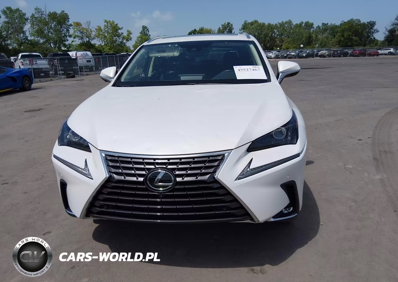 2021 Lexus Nx 300 VIN:JTJGARDZ4M5024235 - 12