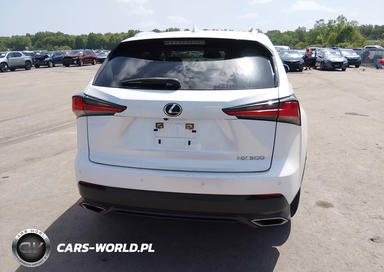 2021 Lexus Nx 300 VIN:JTJGARDZ4M5024235 - 16