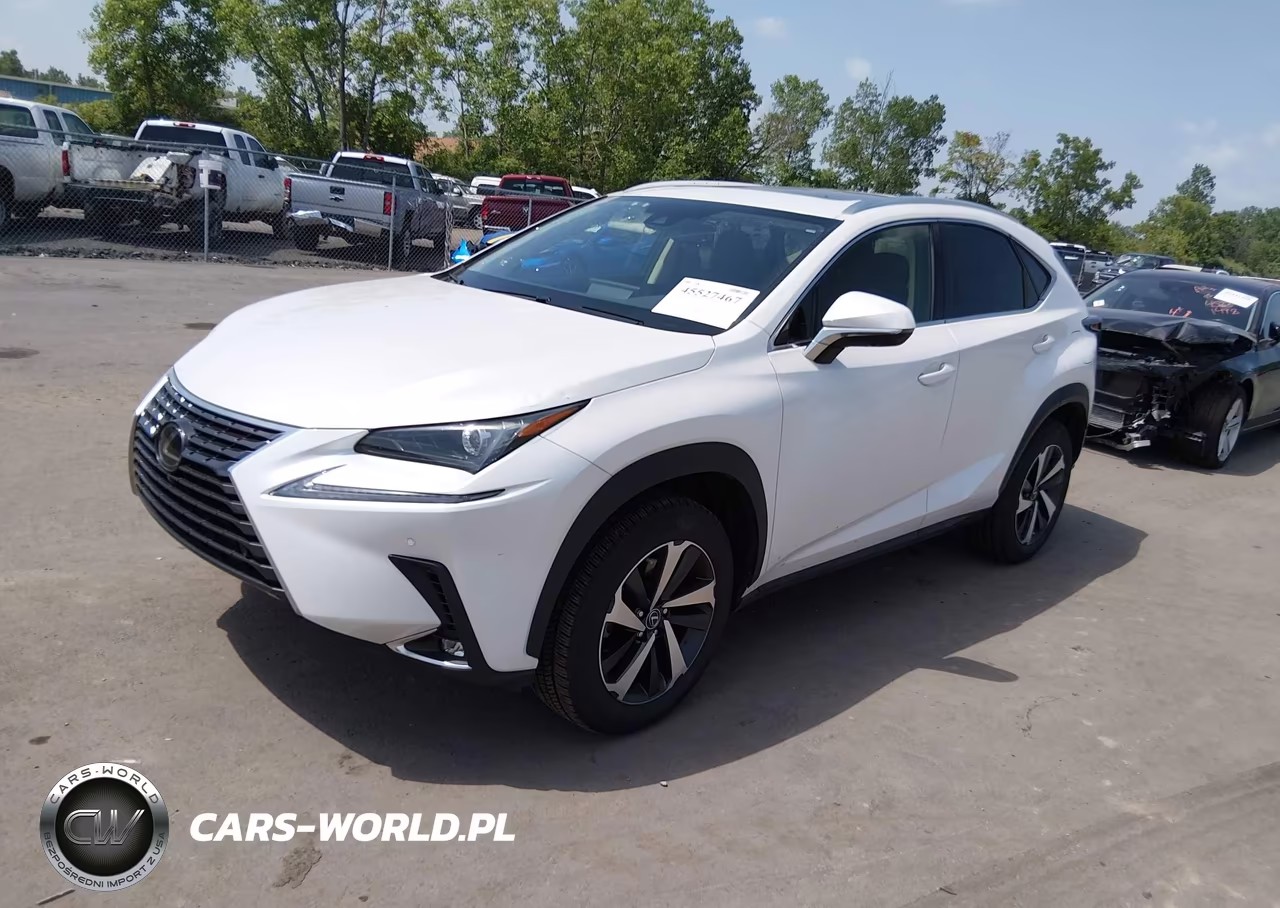 2021 Lexus Nx 300 VIN:JTJGARDZ4M5024235 - 2