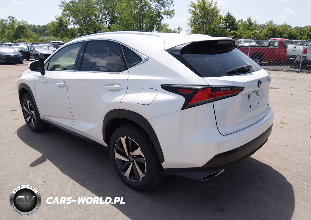 2021 Lexus Nx 300 VIN:JTJGARDZ4M5024235 - 3