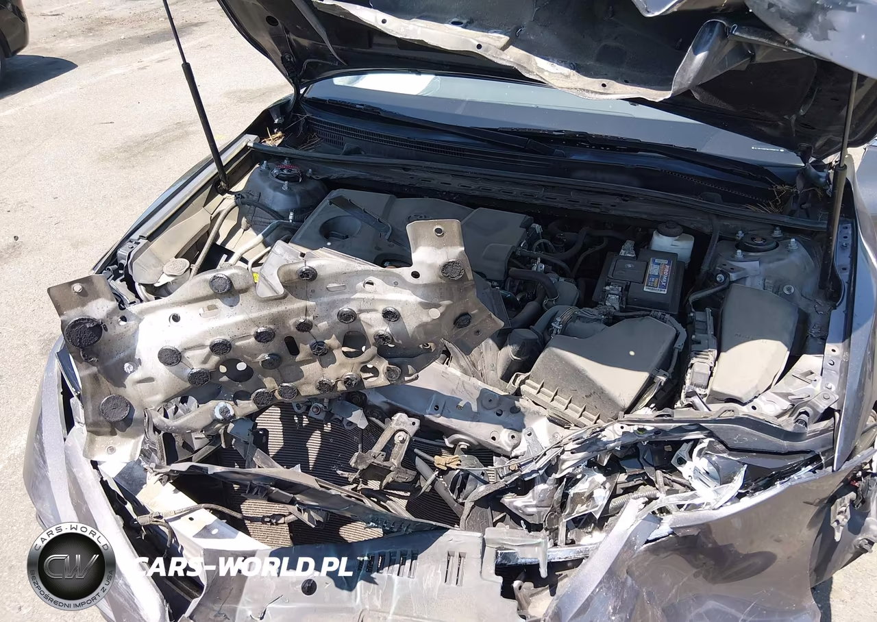 2019 Toyota Camry Le VIN:4T1B11HKXKU259510 - 10