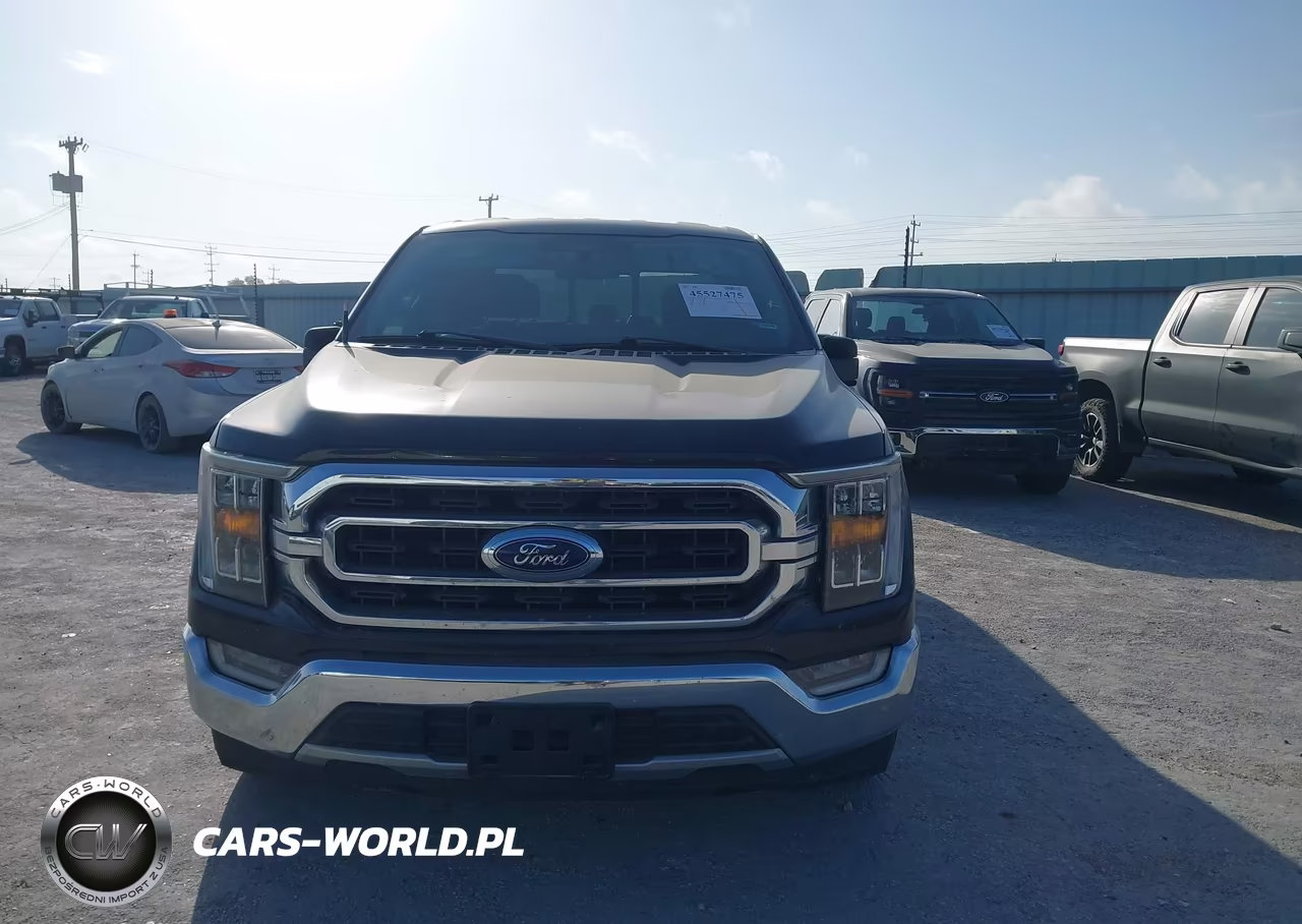 2021 Ford F-150 King Ranch-Lariat-Platinum-Xl-Xlt VIN:1FTEW1C57MFC46287 - 12