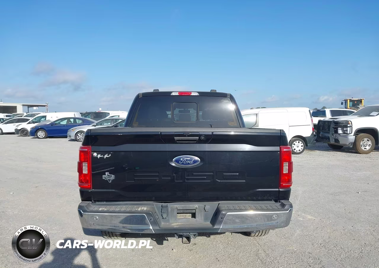 2021 Ford F-150 King Ranch-Lariat-Platinum-Xl-Xlt VIN:1FTEW1C57MFC46287 - 16