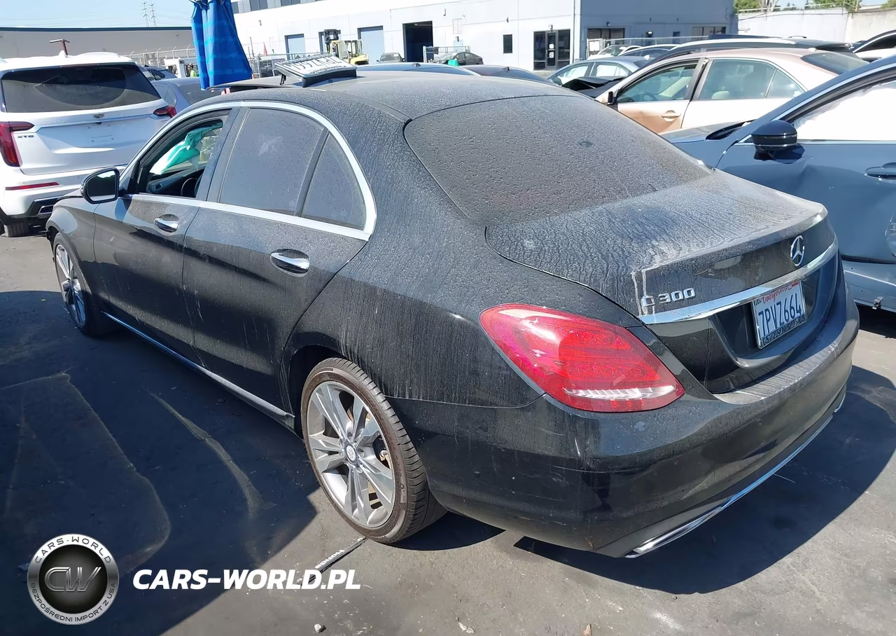 2016 Mercedes-Benz C 300 Luxury VIN:55SWF4JBXGU128630 - 3