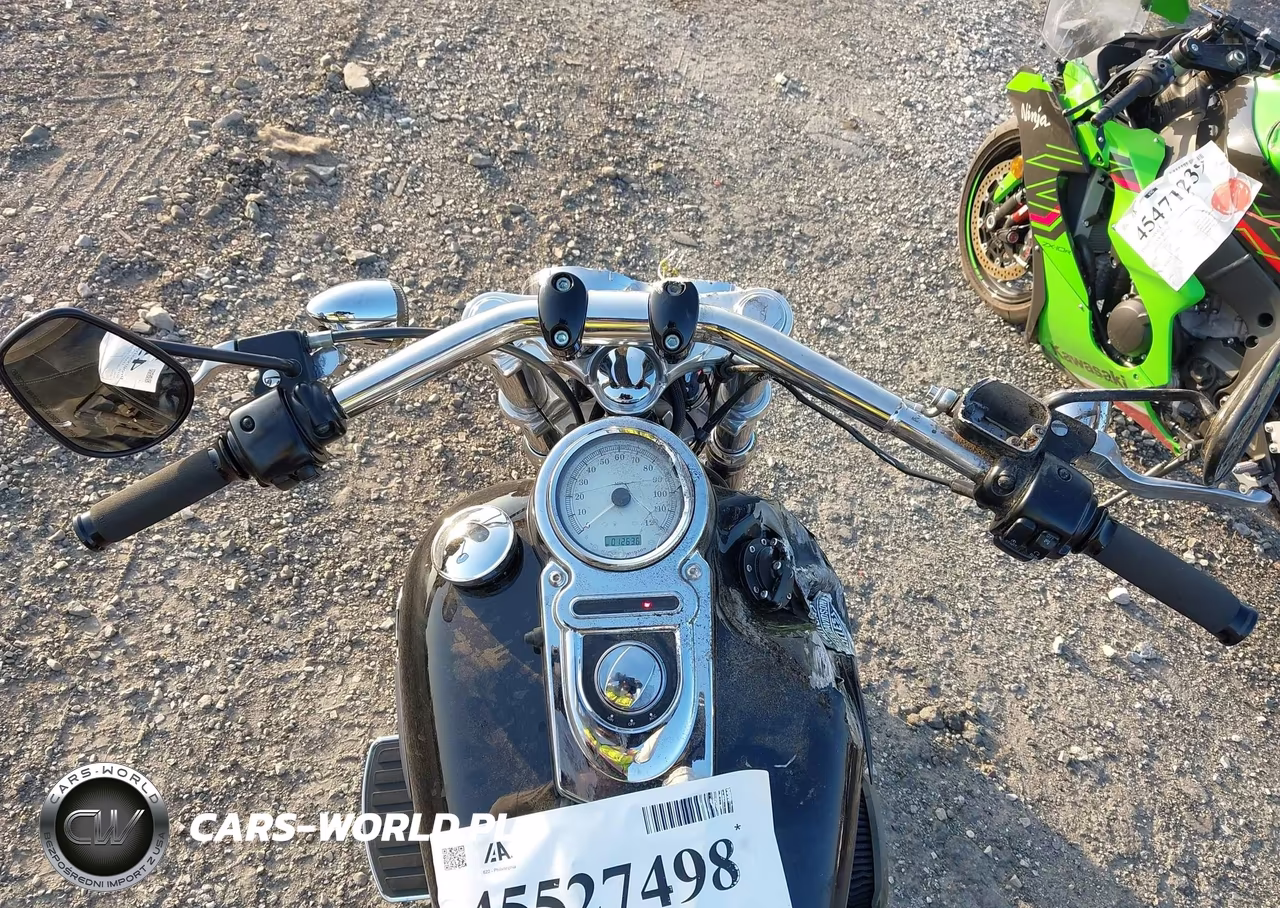 2010 Harley-Davidson Fxdf VIN:1HD1GY411AC316202 - 15