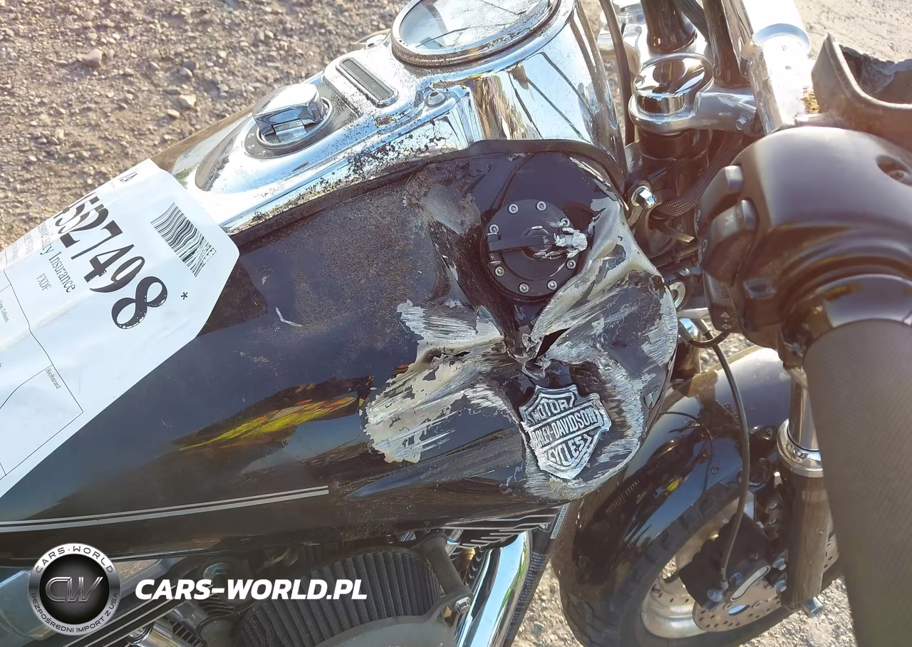 2010 Harley-Davidson Fxdf VIN:1HD1GY411AC316202 - 16