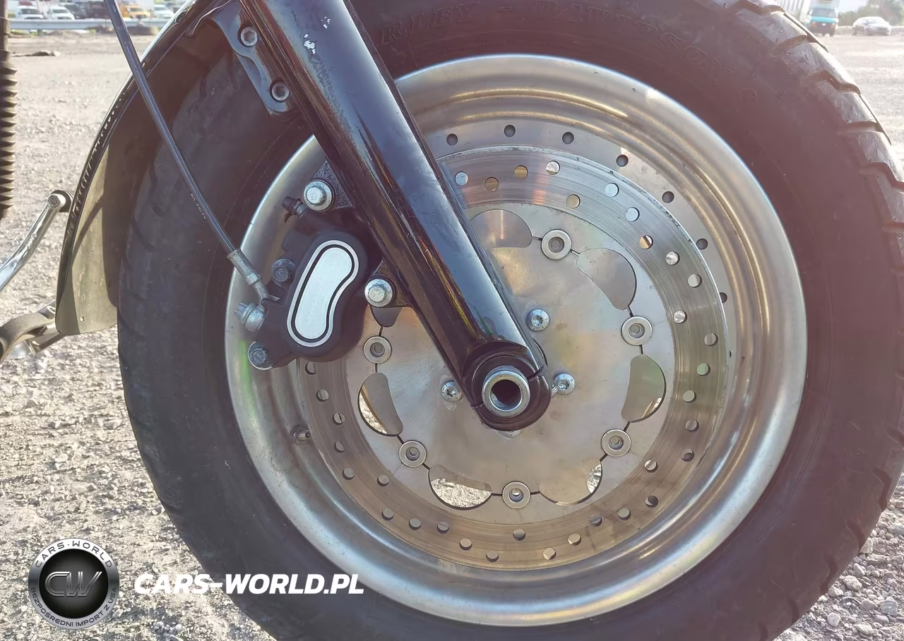 2010 Harley-Davidson Fxdf VIN:1HD1GY411AC316202 - 18